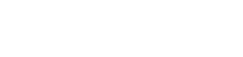 Bibdental