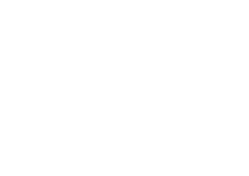 Bibdental